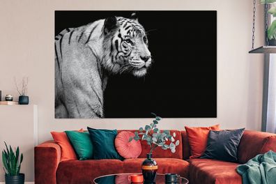 Leinwandbilder - 150x100 cm - Studio Schuss weißen Tiger auf schwarzem Hintergrund