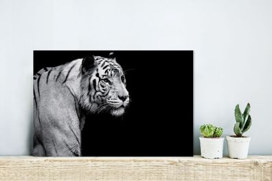 Glasbilder - 30x20 cm - Studio Schuss weißen Tiger auf schwarzem Hintergrund