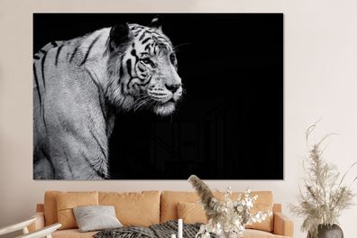Glasbilder - 150x100 cm - Studio Schuss weißen Tiger auf schwarzem Hintergrund
