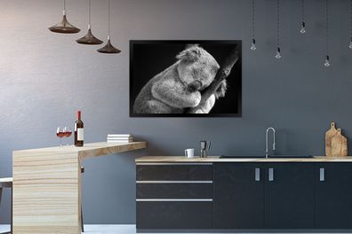 Poster - 90x60 cm - Schlafender Koala auf schwarzem Hintergrund (Gr. 90x60 cm)