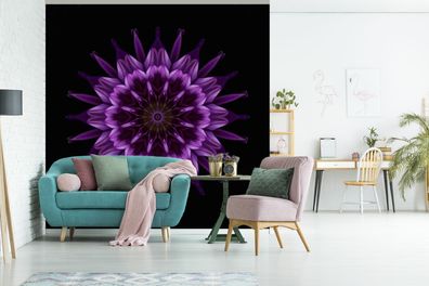 Fototapete - 260x260 cm - Mandala lila Dahlie (Gr. 260x260 cm)