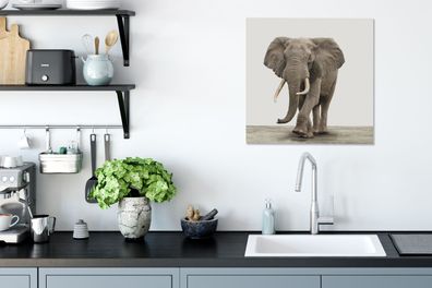 Leinwandbilder - 50x50 cm - Elefant - Wanddekoration - Wohnzimmer - Schlafzimmer