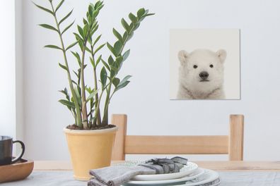 Leinwandbilder - 20x20 cm - Babyzimmer - Eisbärenbaby - Kinderzimmer (Gr. 20x20 cm)