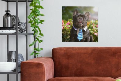 Leinwandbilder - 50x50 cm - Französische Bulldogge - Krawatte - Blau (Gr. 50x50 cm)