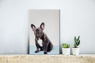 Leinwandbilder - 20x30 cm - Französische Bulldogge - Portrait - Schwarz