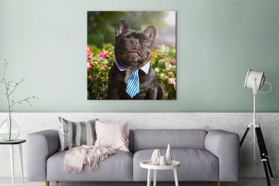 Leinwandbilder - 90x90 cm - Französische Bulldogge - Krawatte - Blau (Gr. 90x90 cm)
