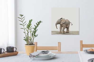 Leinwandbilder - 50x50 cm - Babyzimmer - Baby-Elefant - Elefantenkind - Kinderzimmer