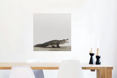 Glasbilder - 50x50 cm - Kinderzimmer - Krokodil - Zimmer für harte Jungs