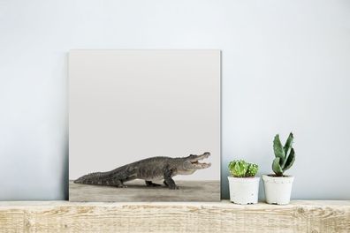Glasbilder - 20x20 cm - Babyzimmer - Krokodil (Gr. 20x20 cm)