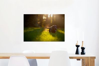Leinwandbilder - 90x60 cm - Schöne Sonnenstrahlen über einem schwarzen Welpen