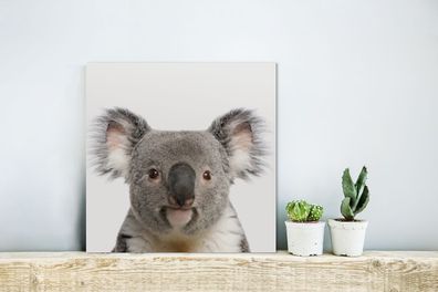 Glasbilder - 20x20 cm - Baby Koala - Koala-Bärenjunge - Schlafzimmer Junge - Mädchen