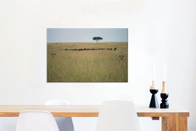 Leinwandbilder - 90x60 cm - Versteckte Löwinnen spionieren eine Herde Gnus aus