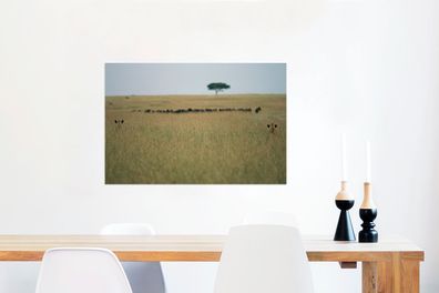 Glasbilder - 90x60 cm - Versteckte Löwinnen spionieren eine Herde Gnus aus