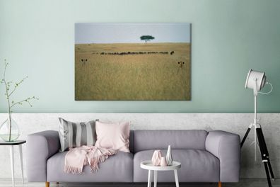 Leinwandbilder - 140x90 cm - Versteckte Löwinnen spionieren eine Herde Gnus aus
