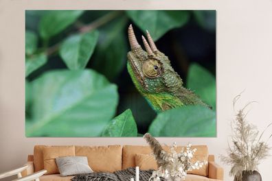 Glasbilder - 150x100 cm - Verstecktes Chamäleon zwischen den Blättern