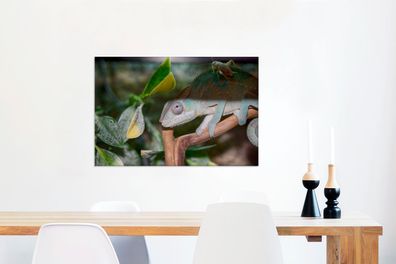 Leinwandbilder - 90x60 cm - Versteckte Grille auf dem Rücken des Chamäleons