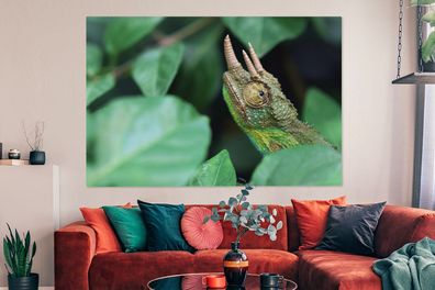 Leinwandbilder - 150x100 cm - Verstecktes Chamäleon zwischen den Blättern