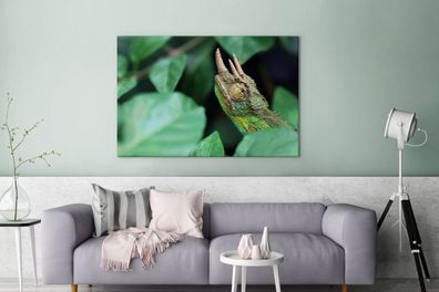 Leinwandbilder - 120x80 cm - Verstecktes Chamäleon zwischen den Blättern