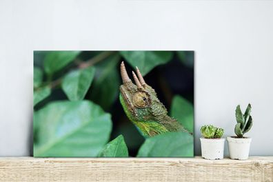 Leinwandbilder - 30x20 cm - Verstecktes Chamäleon zwischen den Blättern