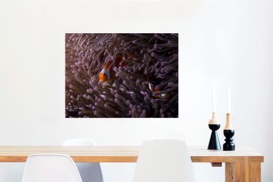 Glasbilder - 80x60 cm - Clownfisch versteckt zwischen den Seeanemonen (Gr. 80x60 cm)