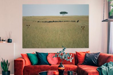 Leinwandbilder - 150x100 cm - Versteckte Löwinnen spionieren eine Herde Gnus aus