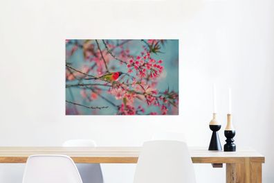 Glasbilder - 60x40 cm - Vogel - Sakura - Farben (Gr. 60x40 cm)