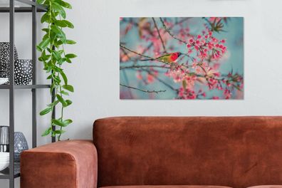 Leinwandbilder - 60x40 cm - Vogel - Sakura - Farben (Gr. 60x40 cm)