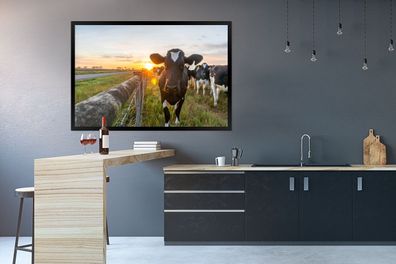 Poster - 120x80 cm - Kühe - Sonne - Zaun (Gr. 120x80 cm)