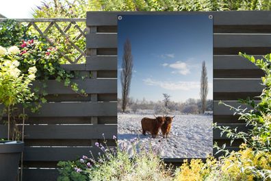 Gartenposter - 120x180 cm - Schottischer Highlander - Licht - Schnee (Gr. 120x180 cm)