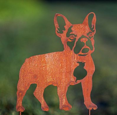 Hund Französische Bulldogge 31x27cm Gartenstecker Edelrost Rost Rostfigur