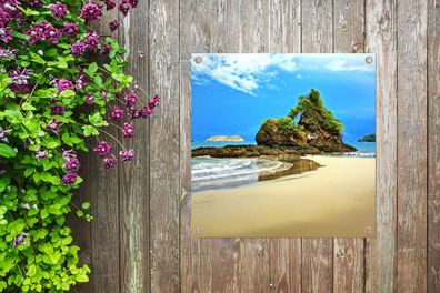 Gartenposter - 100x100 cm - Paradies am Strand von Costa Rica (Gr. 100x100 cm)