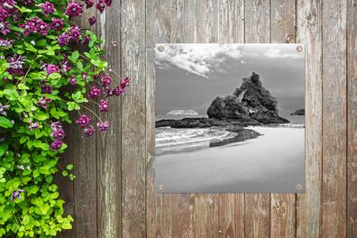 Gartenposter - 100x100 cm - Paradies am Strand von Costa Rica in Schwarz und Weiß
