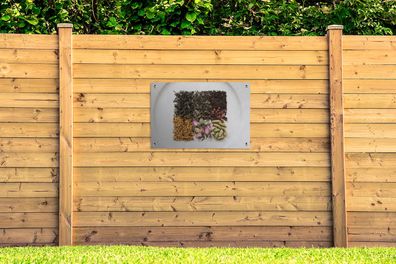 Gartenposter - 90x60 cm - Getrocknet auf einem Teller (Gr. 90x60 cm)