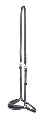 Reithalfter SAVONA-LACK