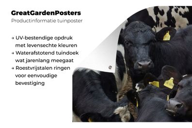 Gartenposter - 160x80 cm - Kuh - Herde - Bauernhof - Tiere (Gr. 160x80 cm)
