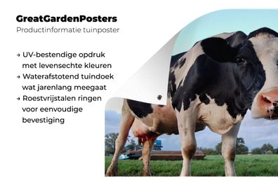 Gartenposter - 80x60 cm - Kuh - Bauernhof - Gras - Tiere (Gr. 80x60 cm)