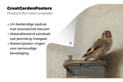 Gartenposter - 40x60 cm - Der Stieglitz - Carel Fabritius (Gr. 40x60 cm)