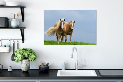 Leinwandbilder - 90x60 cm - Pferde - Gras - Luft (Gr. 90x60 cm)