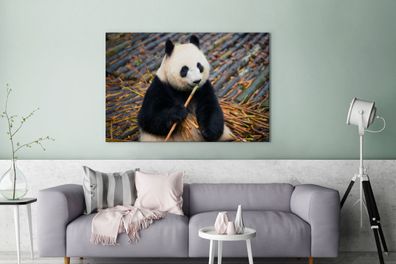 Leinwandbilder - 120x80 cm - Großer Panda - Bambus - Blätter (Gr. 120x80 cm)