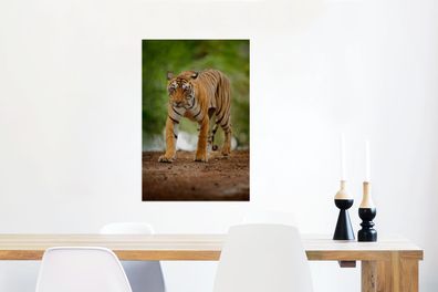 Glasbilder - 60x90 cm - Schleichender Tiger (Gr. 60x90 cm)