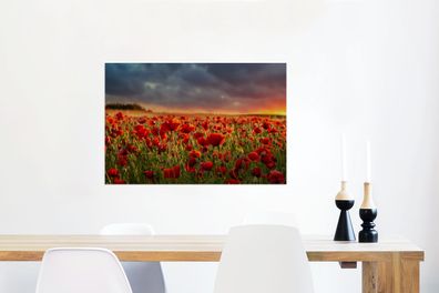 Glasbilder - 90x60 cm - Sonnenuntergang - Mohnblumen - Rot (Gr. 90x60 cm)