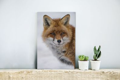 Glasbilder - 20x30 cm - Fuchs - Porträt - Schnee (Gr. 20x30 cm)