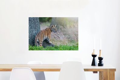 Glasbilder - 90x60 cm - Tigerjunges im Wald (Gr. 90x60 cm)
