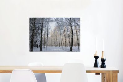 Glasbilder - 60x40 cm - Wald - Weg - Schnee (Gr. 60x40 cm)