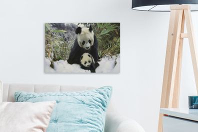 Leinwandbilder - 30x20 cm - Panda - Jungtier - Schnee (Gr. 30x20 cm)