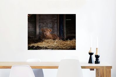 Glasbilder - 80x60 cm - Schottischer Hochländer - Bauernhof - Stroh (Gr. 80x60 cm)