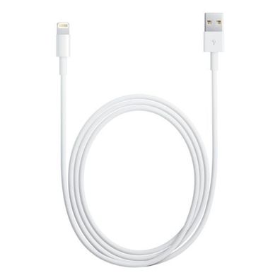 Original Apple Lightning Ladekabel 1m iPhone 5 6 7 8 11 X Xr Xs iPad MD818ZM/ A