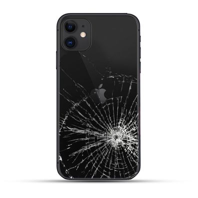 Apple iPhone 11 Backcover Reparatur / Tausch / Wechsel
