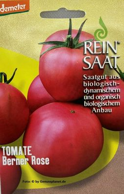 Tomate Berner Rose - Saatgut - Samen - Demeter - Tomatensamen Bio Reinsaat