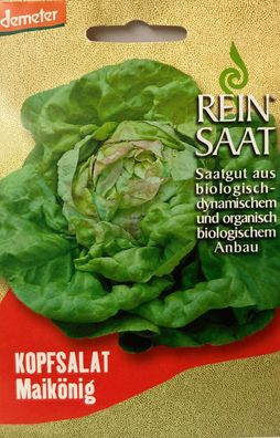 Kopfsalat Maikönig - Saatgut - Samen Demeter aus biologischem Anbau Salatsamen